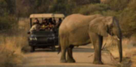 The best ever luxurious South Africa itinerary for 9 nights