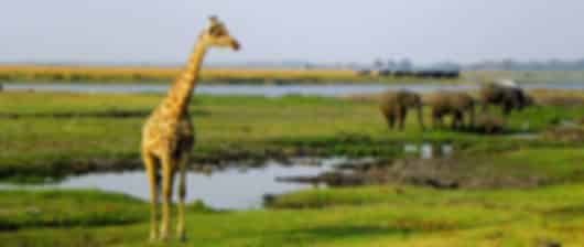 South Africa 8 Nights 9 Days Group Classic Safari Route Itinerary