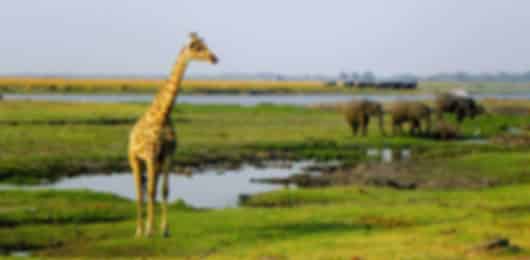 Rejuvenating 11 day South Africa itinerary for the Family travellers