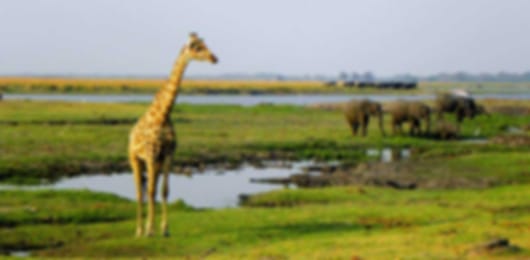 South Africa 3 Nights 4 Days Budget Classic Safari Route Itinerary