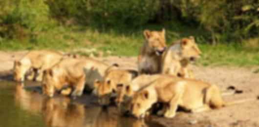 The 9 night South Africa vacation itinerary for fun lovers