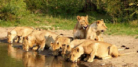 The 9 day South Africa honeymoon itinerary for fun lovers