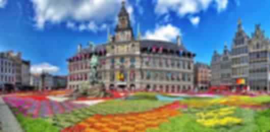Antwerp 7 Nights 8 Days Family Itinerary