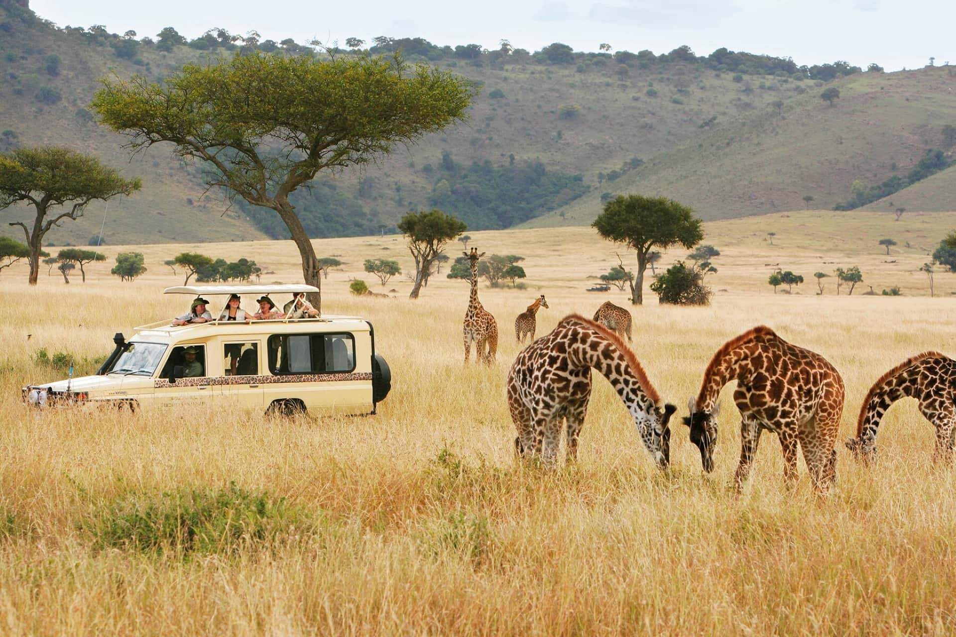 Packages Tour Kenya