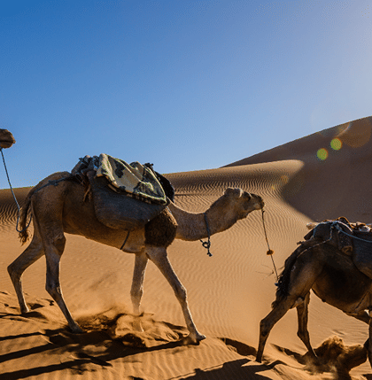 Morocco Holiday Packages from UAE