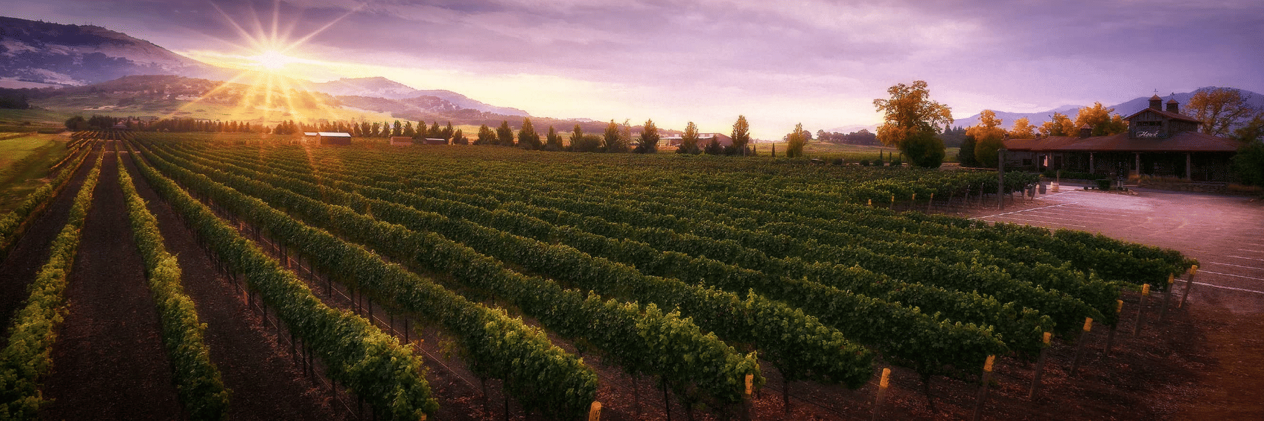 Bordeaux Wine Tours Holiday Packages from UAE