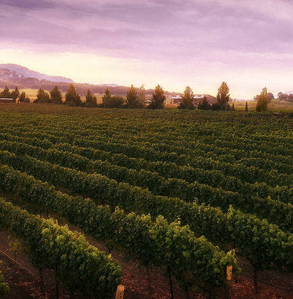 Bordeaux Wine Tours Holiday Packages from UAE