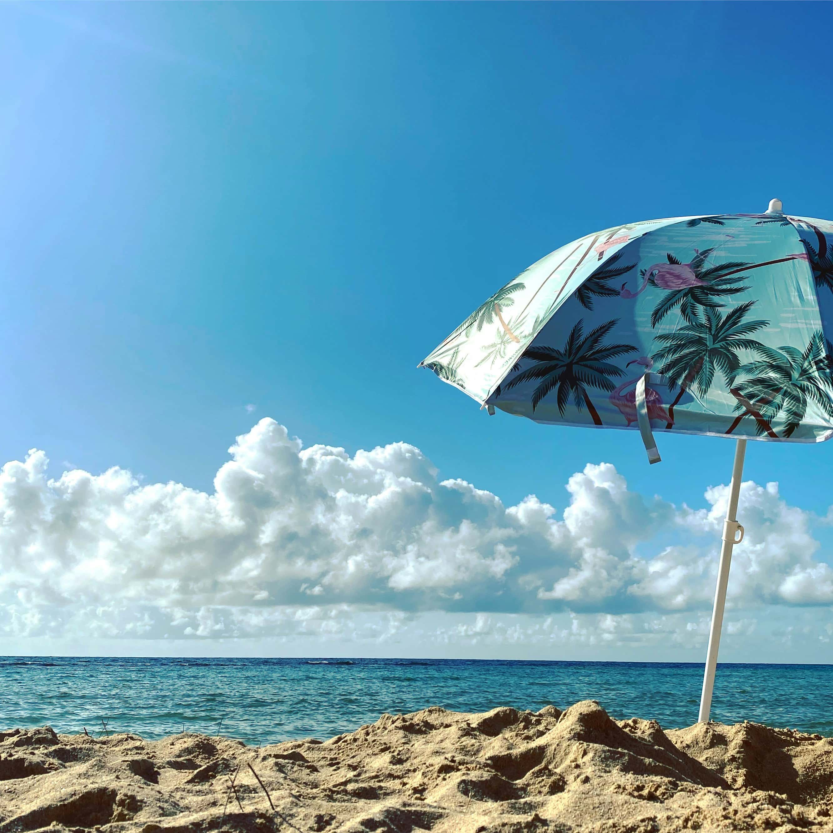 Summer Holiday Packages