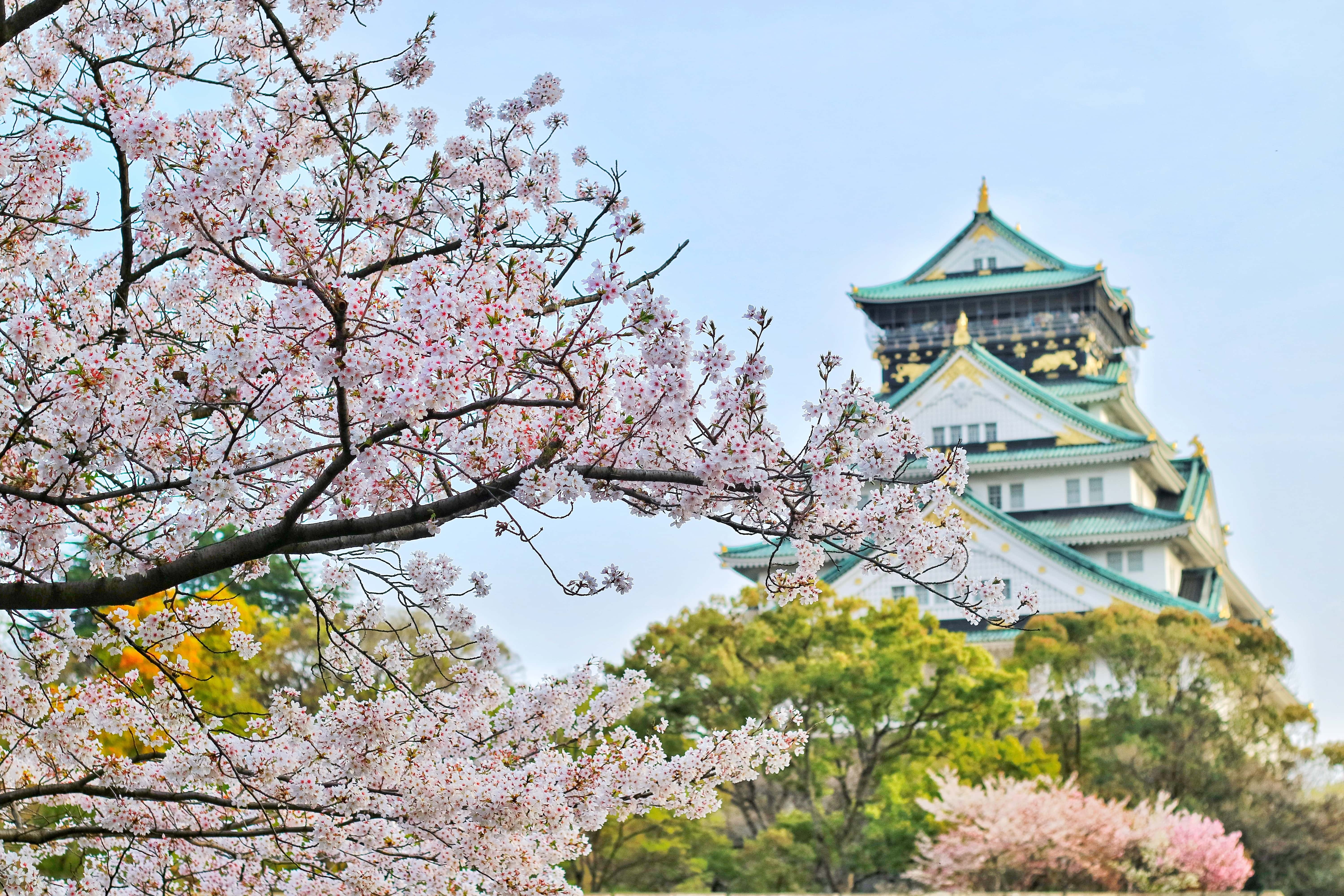 Japan Adventure Packages