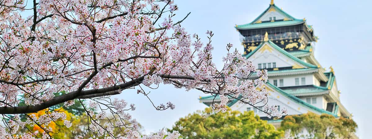 Japan Adventure Packages