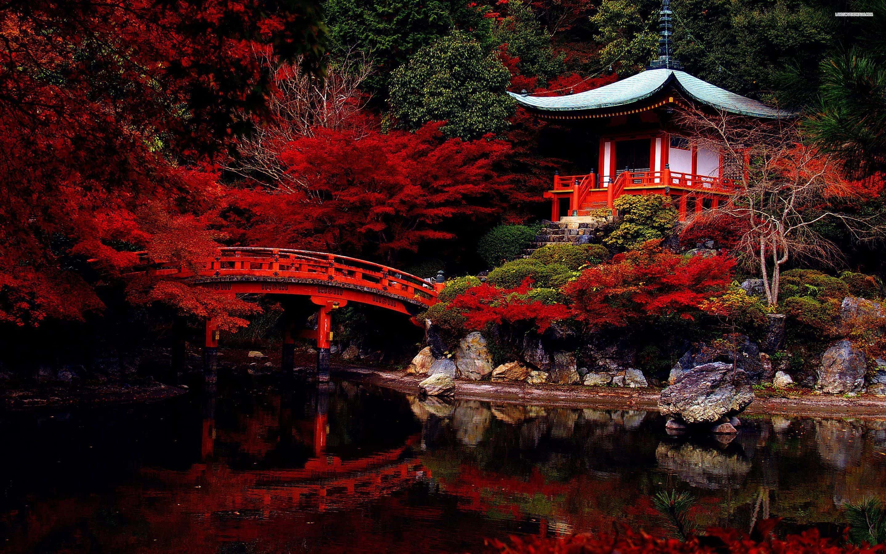 Japan Family Tour Packages