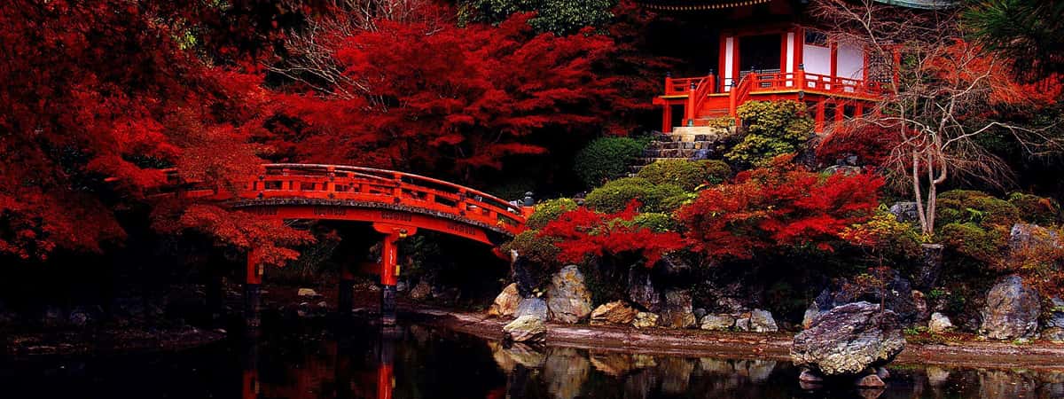Japan Family Tour Packages From USA