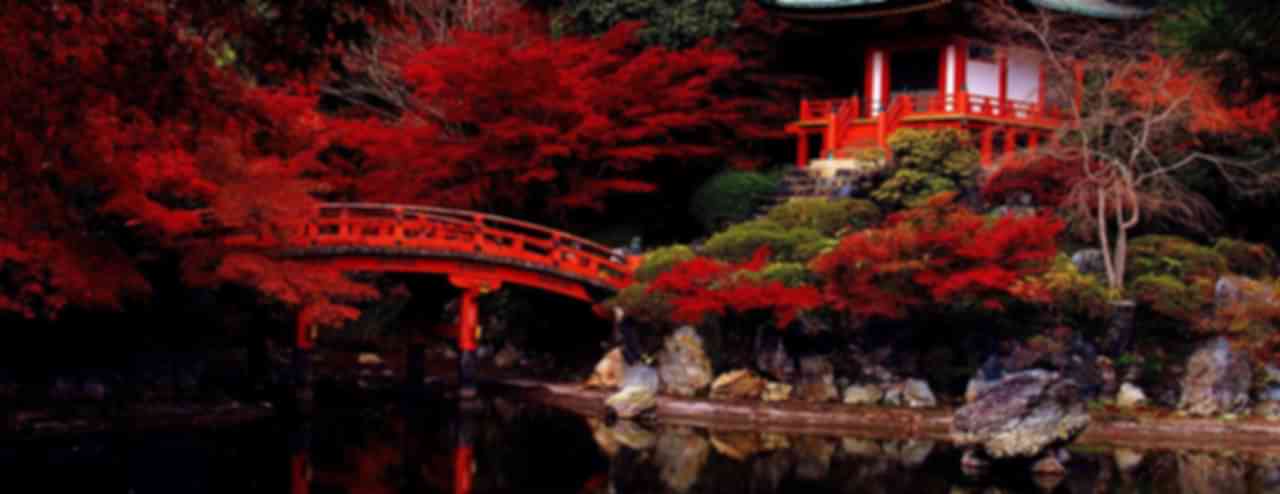 Japan Family Tour Packages