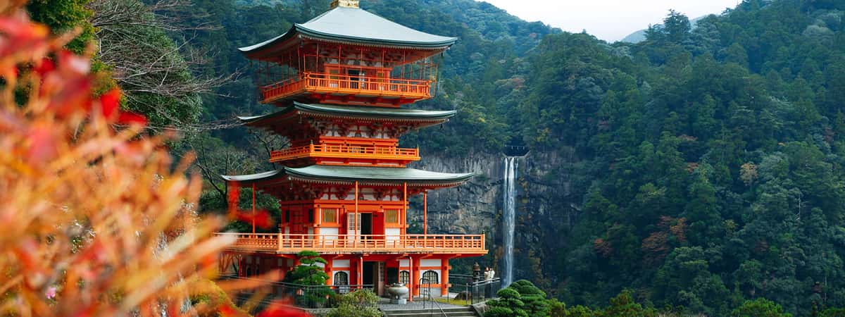 Japan Honeymoon Tour Packages from Dubai