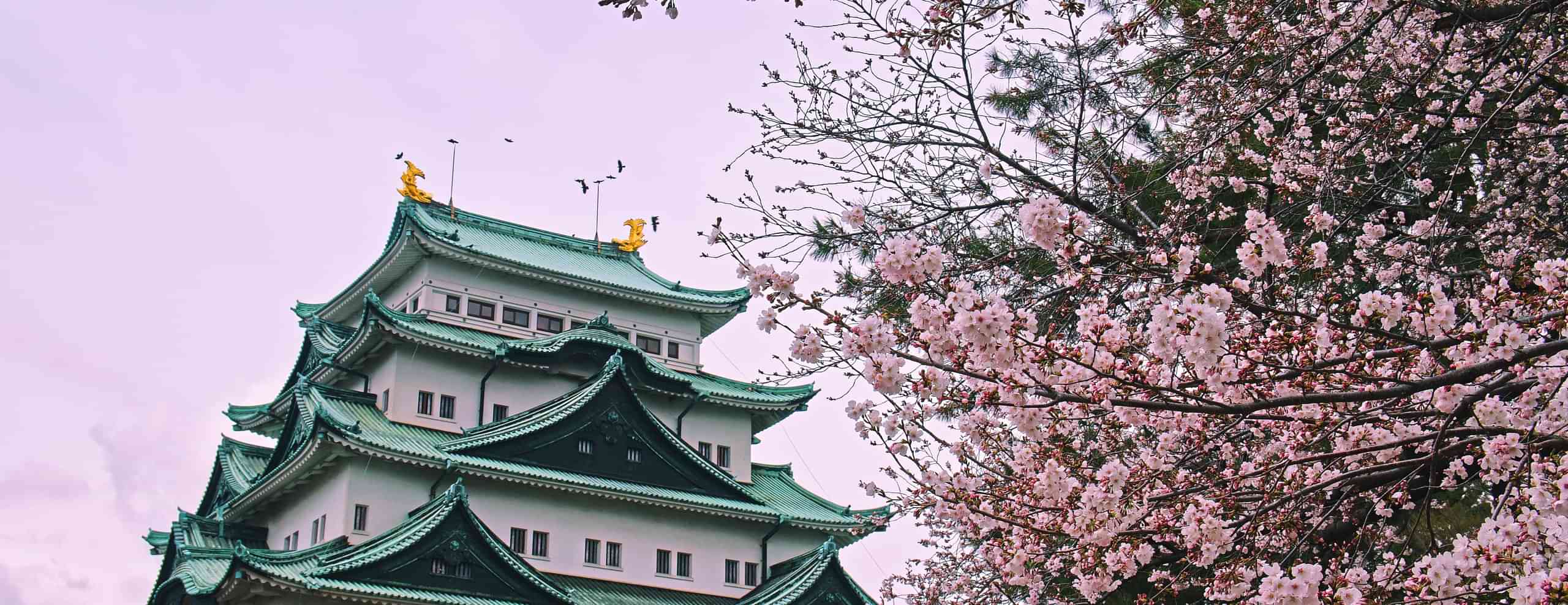 Japan Tour Packages from Bangalore