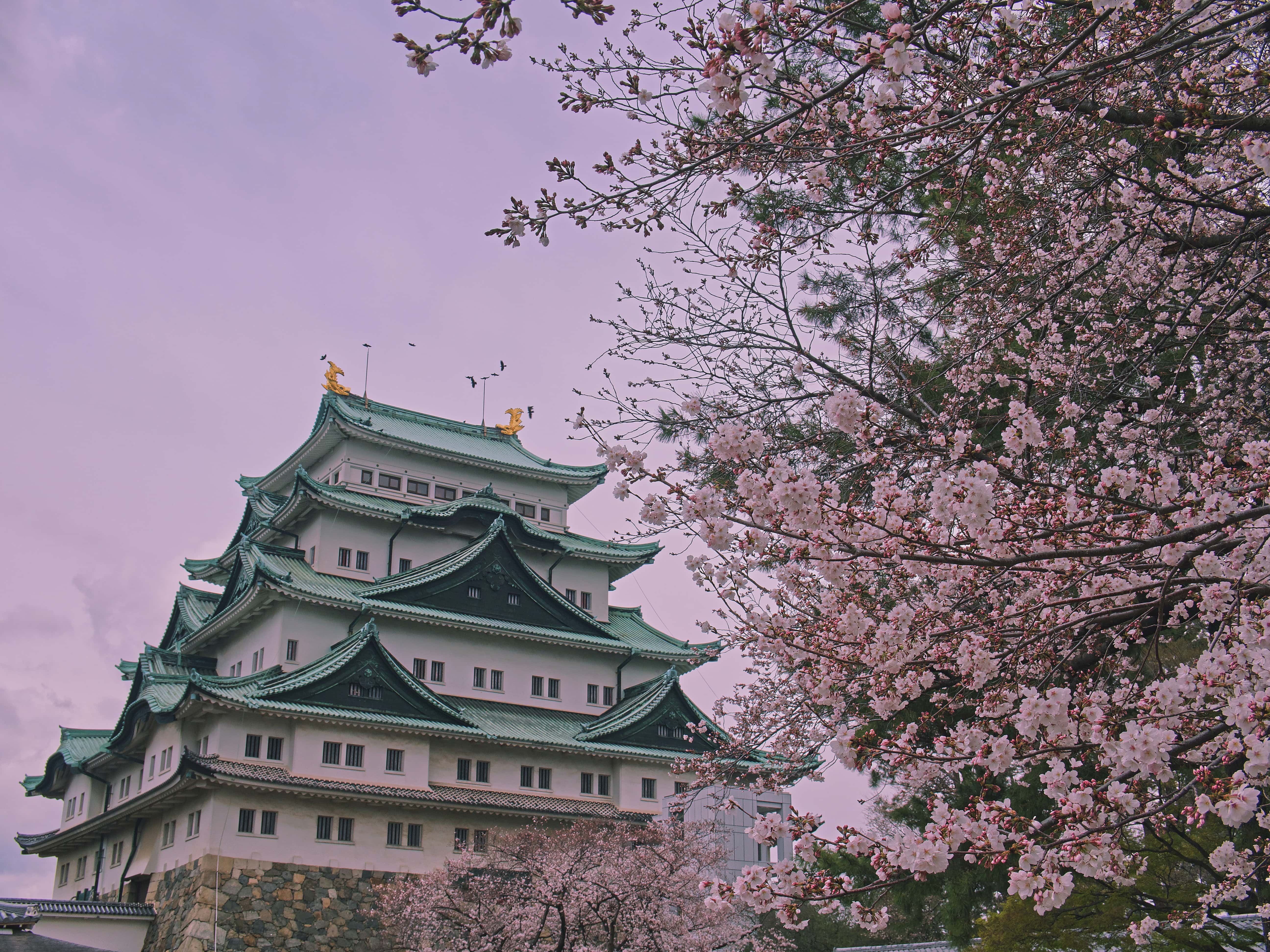 Kyoto Tour Packages from Bangalore