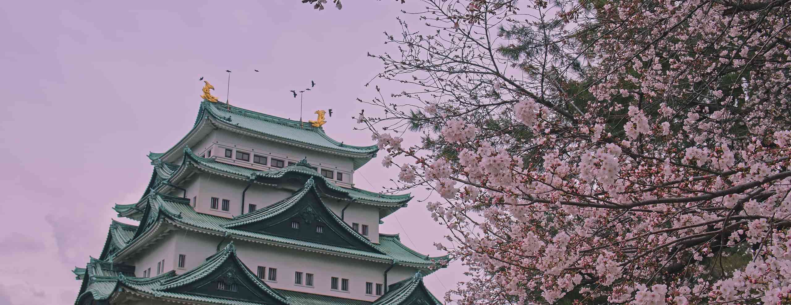 Kyoto Tour Packages from Bangalore