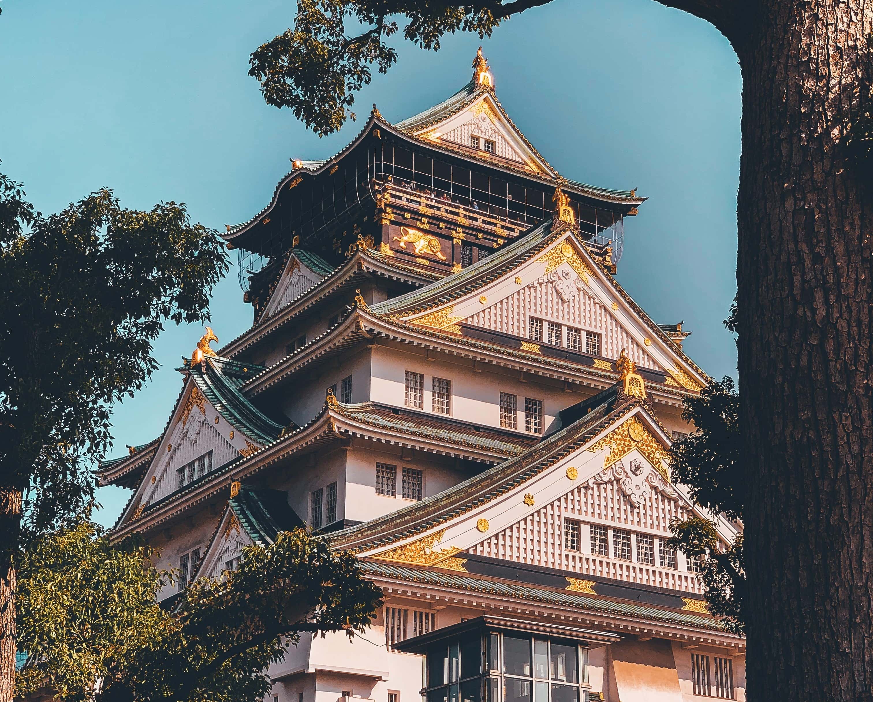 Osaka Tour Packages from Chennai