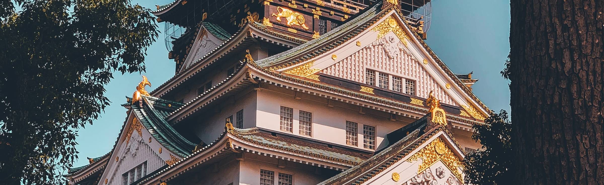 Osaka Tour Packages from Chennai