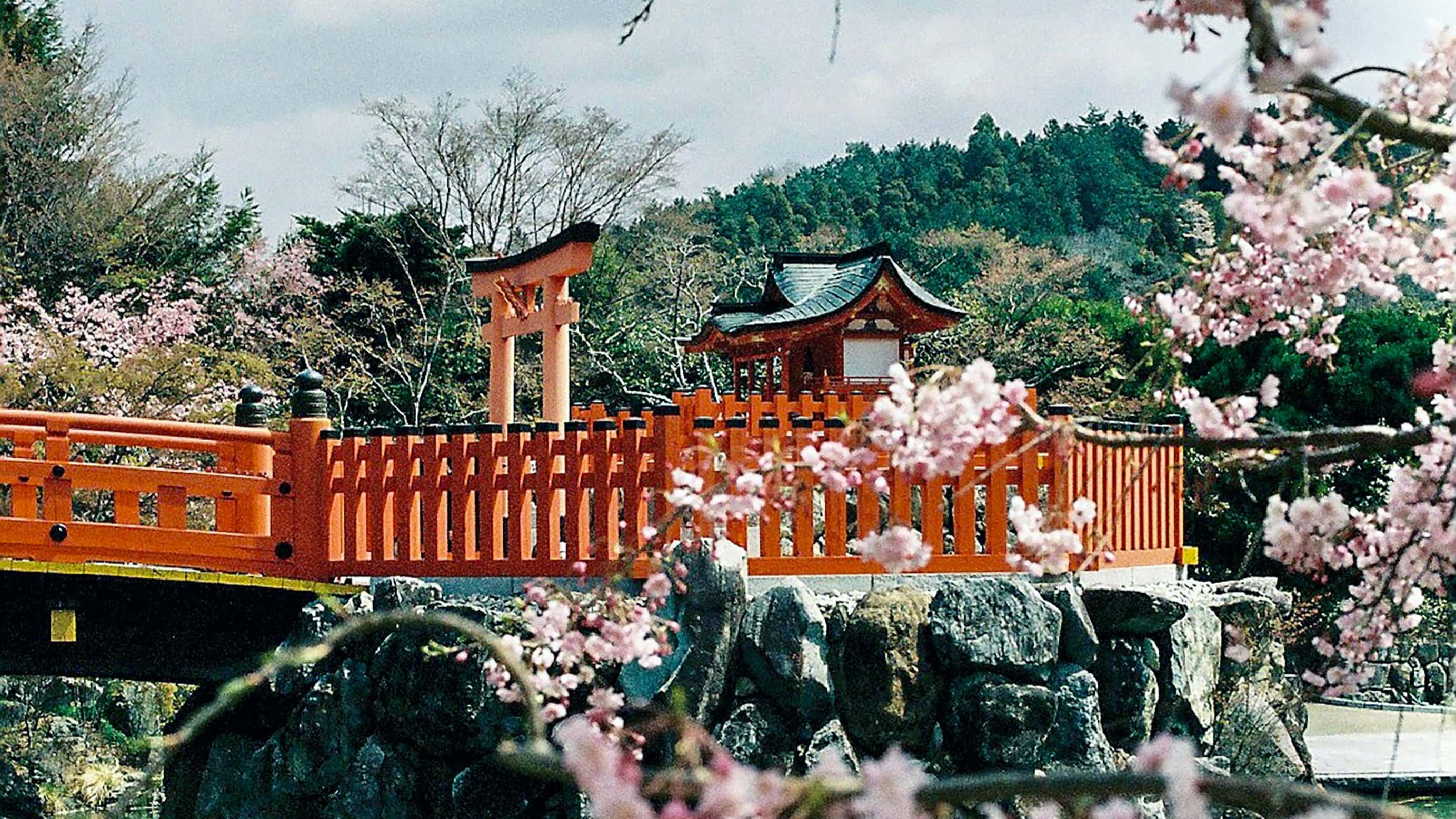 Osaka Tour Packages from Mumbai