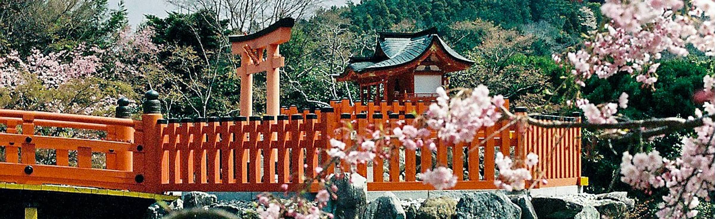 Osaka Tour Packages from Mumbai