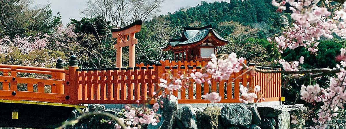 Osaka Tour Packages from Mumbai