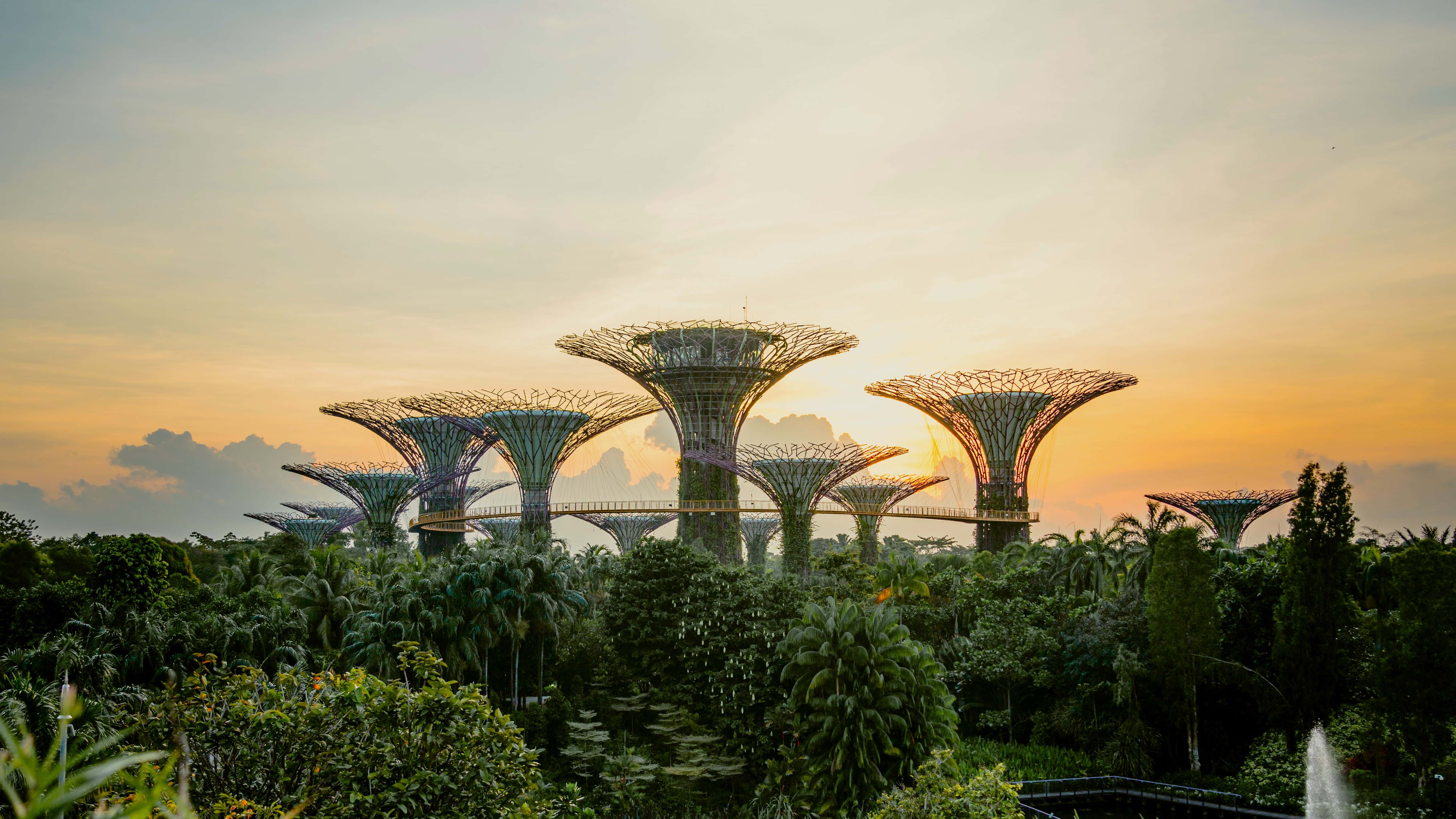 Singapore Honeymoon Tour Packages