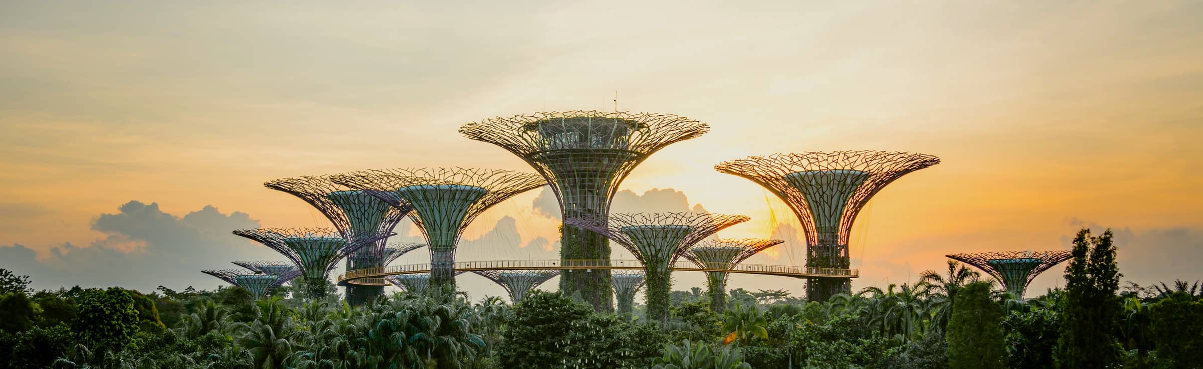 Singapore Honeymoon Packages