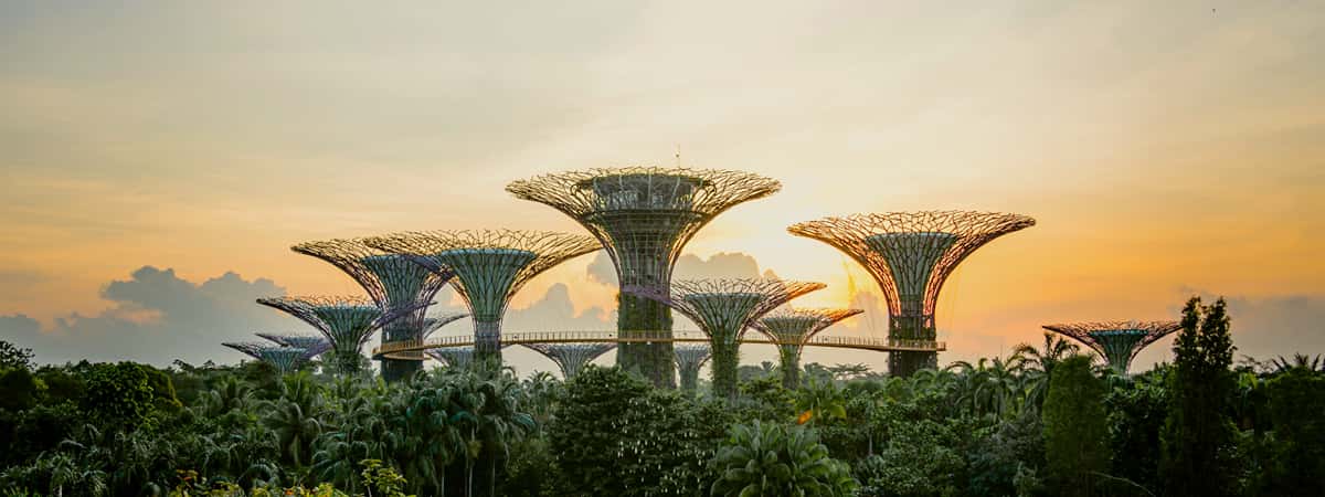 Singapore Honeymoon Tour Packages from Dubai