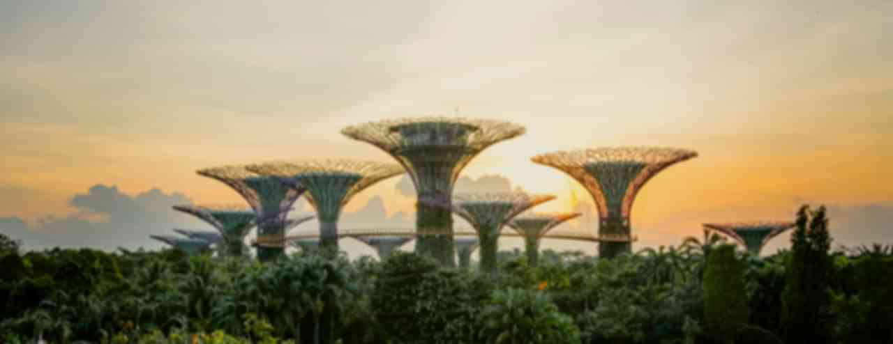 Singapore Honeymoon Tour Packages