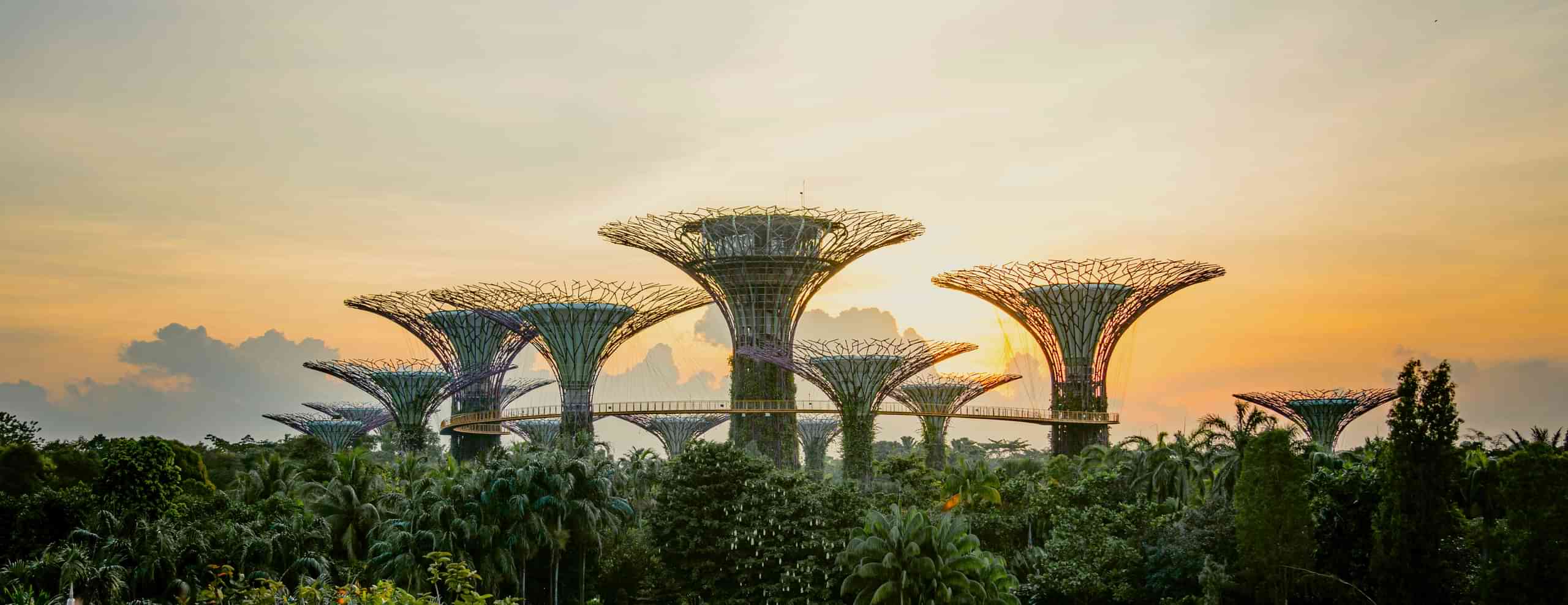 Singapore Honeymoon Packages