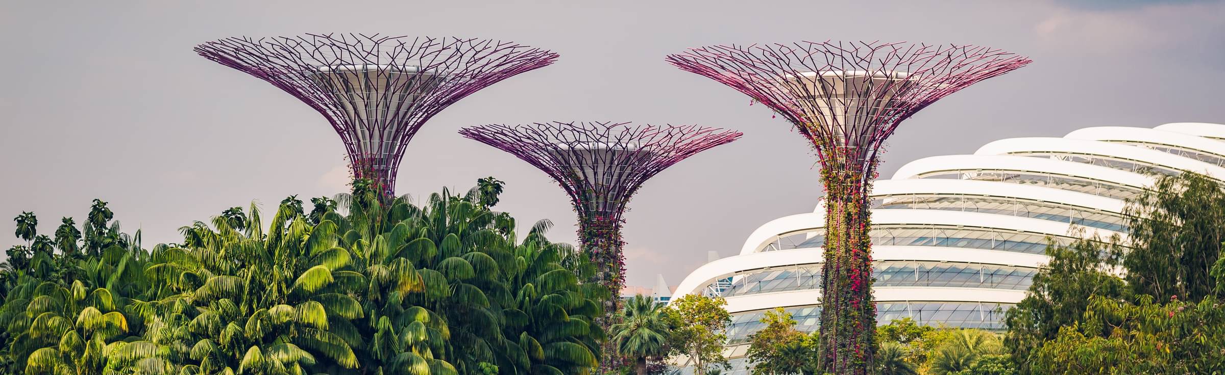 Singapore Packages from Jaipur