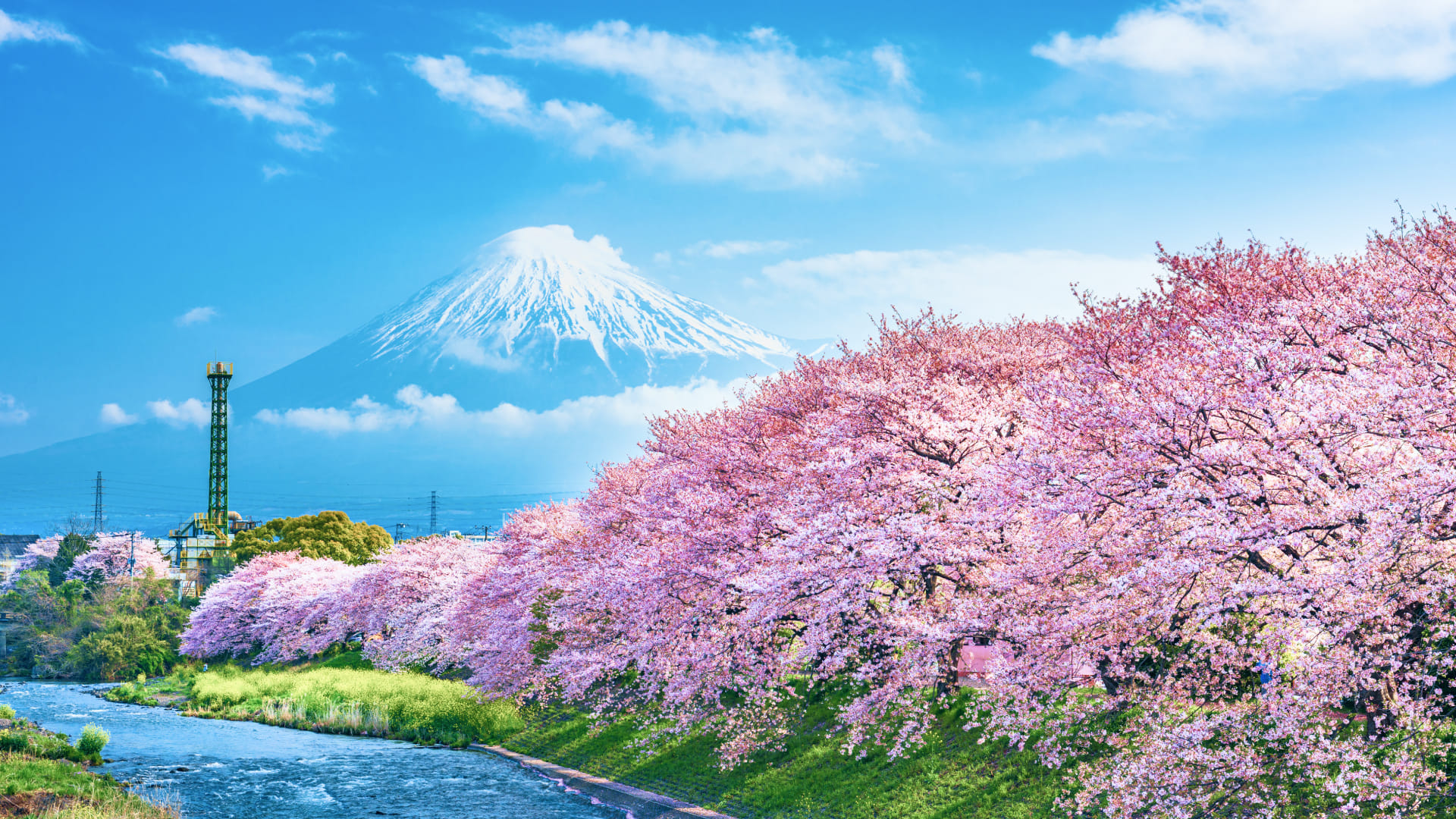 Spring Holiday Packages