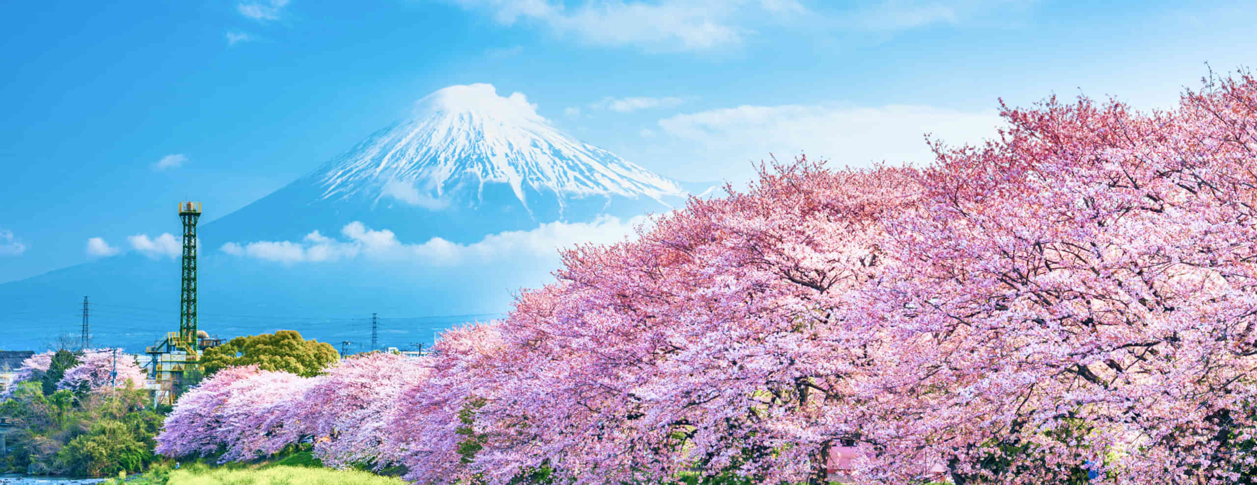 Spring Holiday Packages