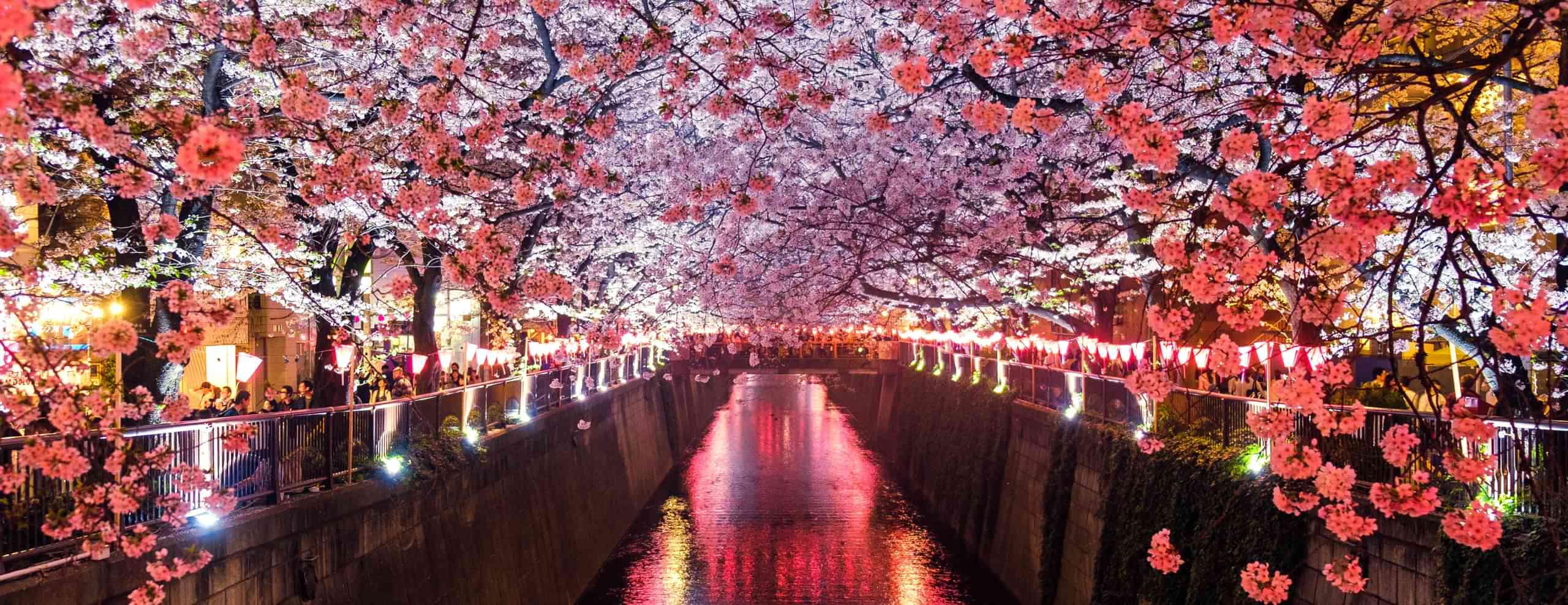 Tokyo Tour Packages from Ahmedabad