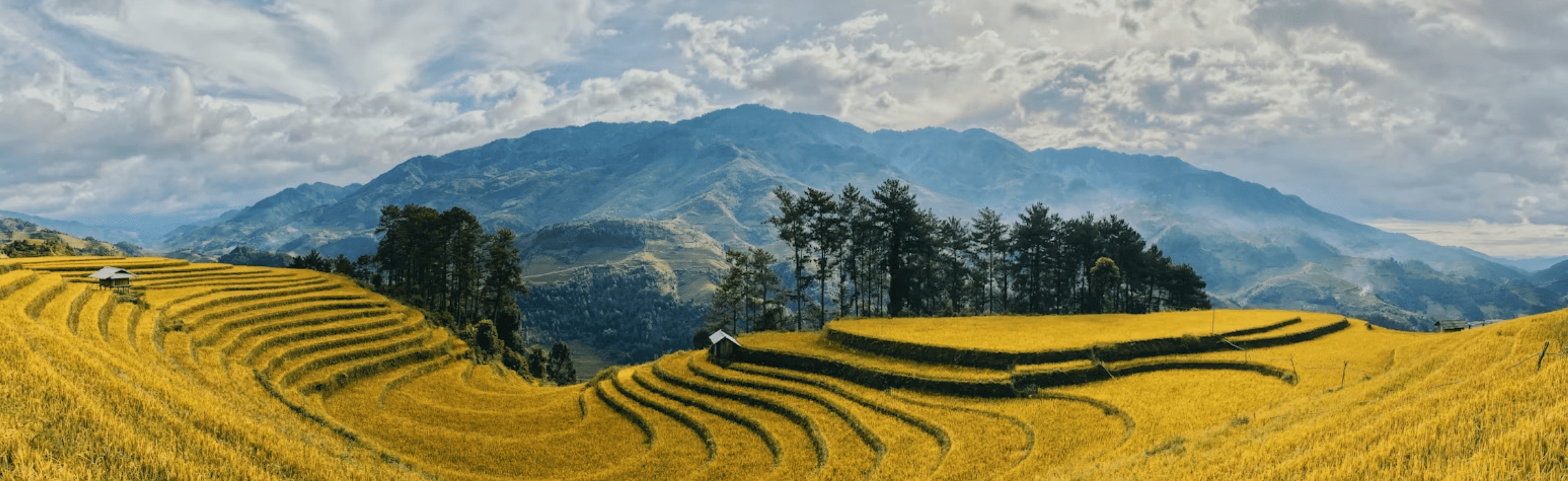 Vietnam Family Packages