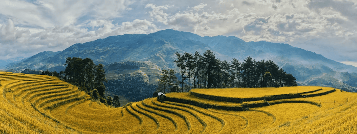 Vietnam Honeymoon Packages from India