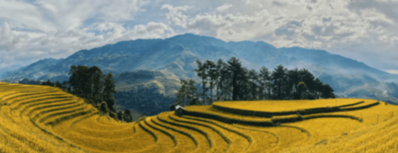 Vietnam Honeymoon Packages from India