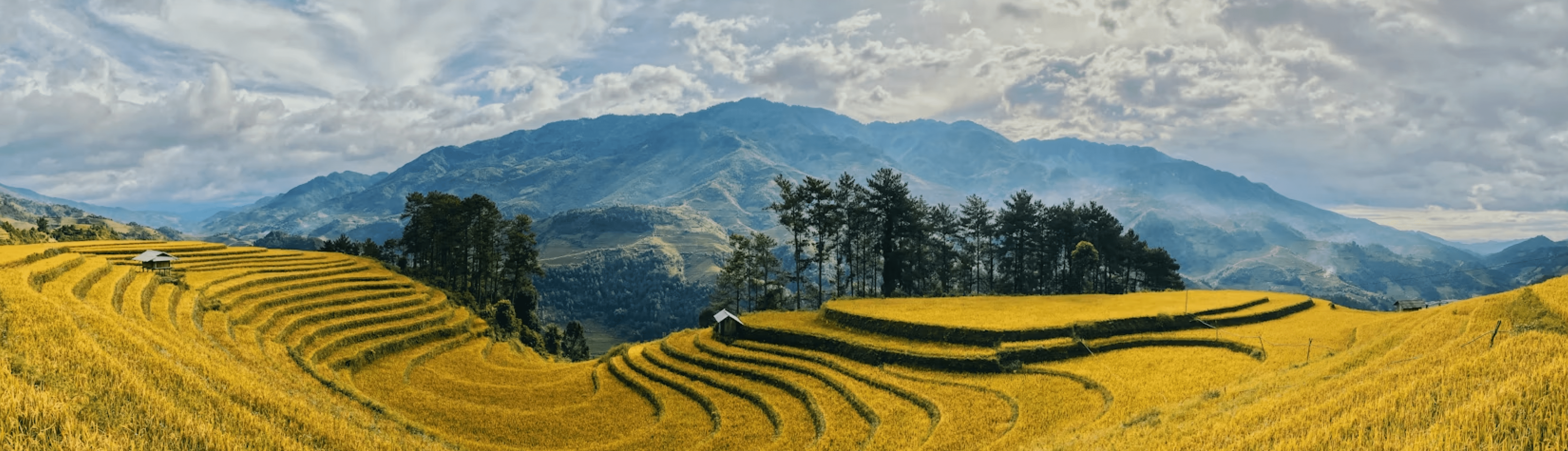 Vietnam Tour Packages From India