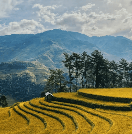 Vietnam 6 Nights 7 Days Package