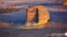Alula Tour Packages