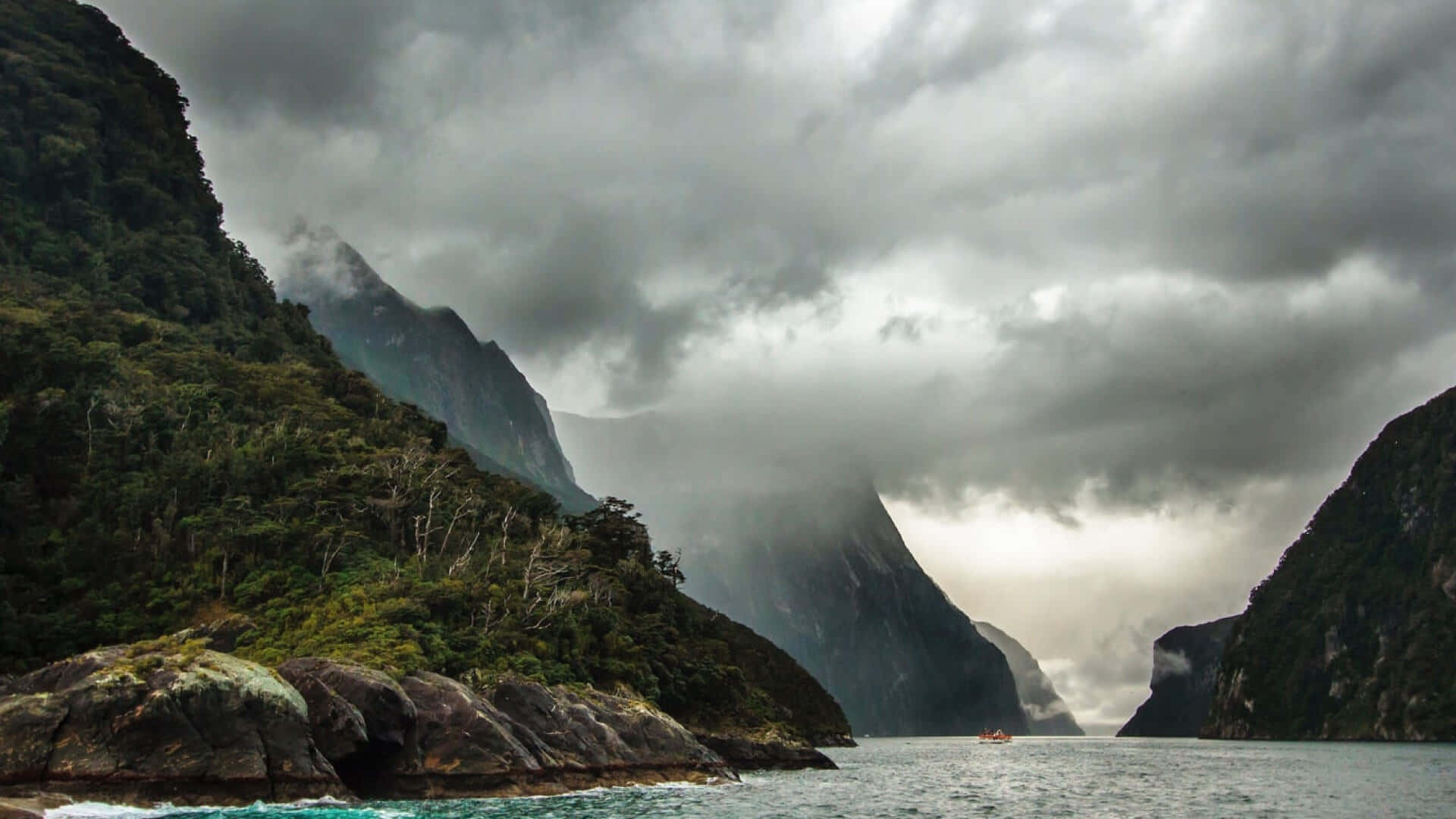 Auckland Tour Packages