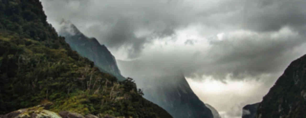 Auckland Tour Packages