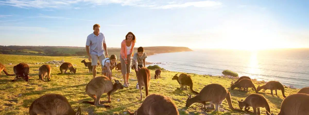 Western Australia Packages