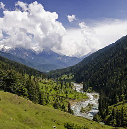 Kashmir Tour Packages