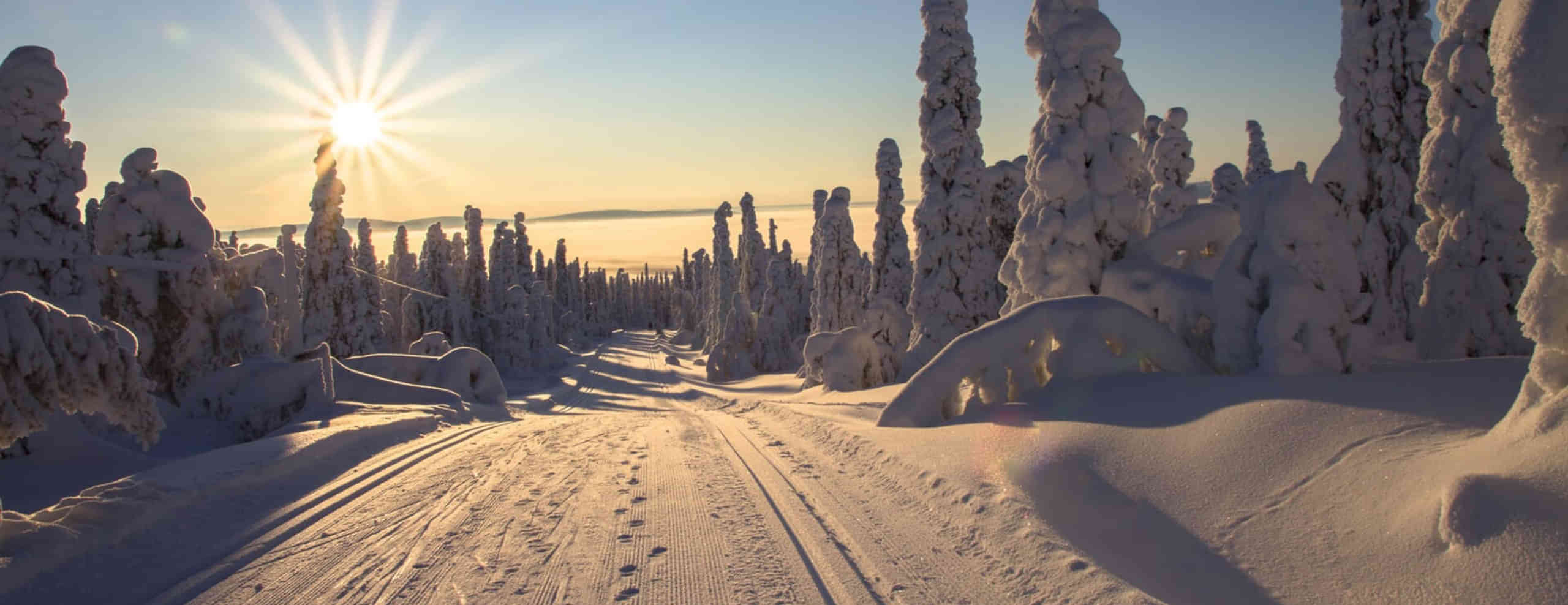 Finland Tour Package from Delhi