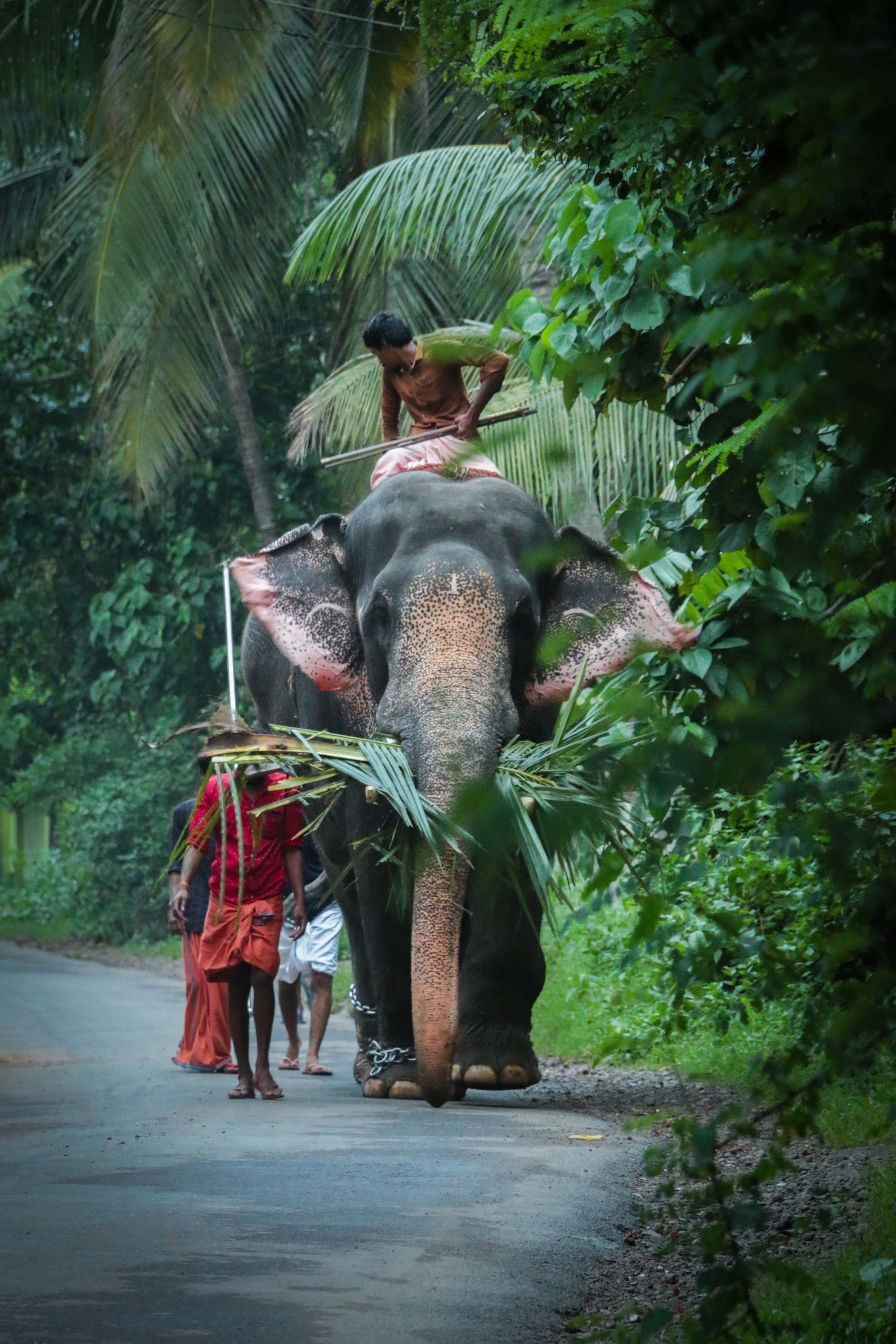International Travel Packages From Thrissur
