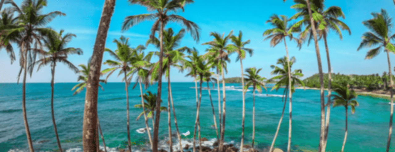Sri Lanka Tour Packages from Ahmedabad