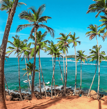 Sri Lanka Packages from Bangalore