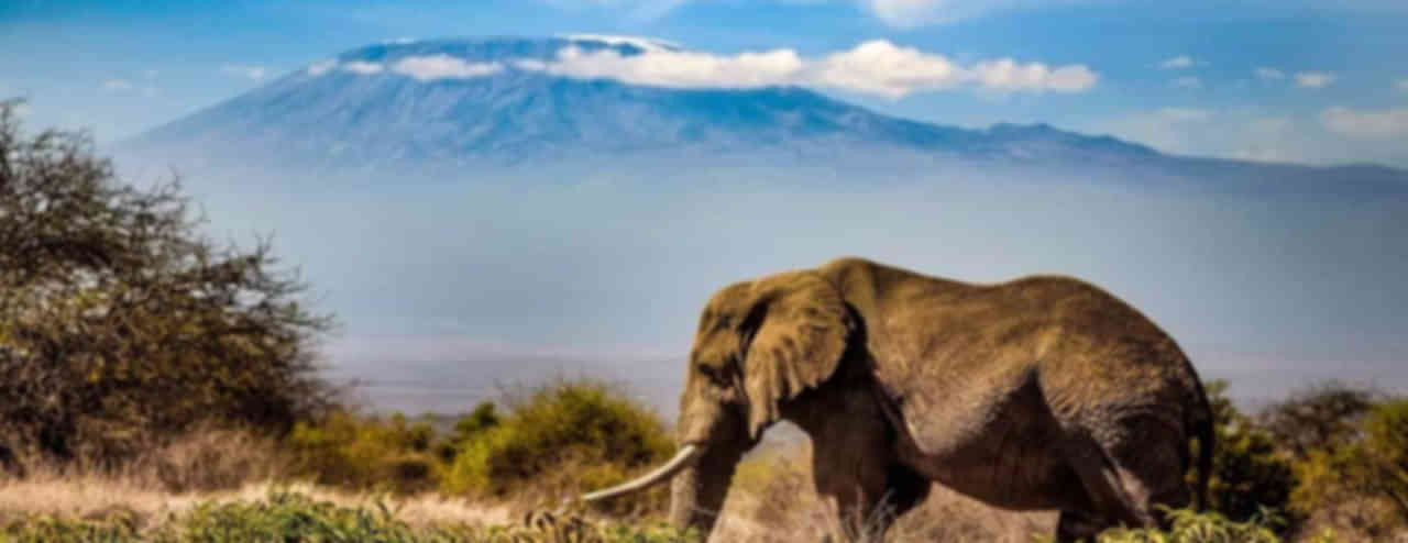 Kenya Tour Packages